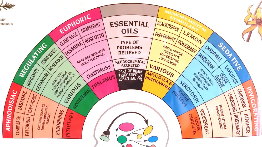 aromatherapy-mindful-beauty