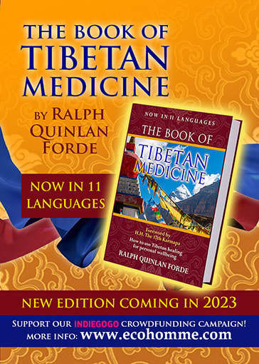The Book of Tibetan Medicine Second Edition 